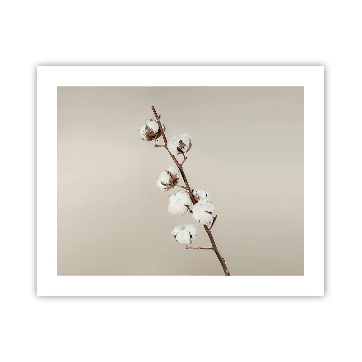 Affiche - Poster - A la source de la douceur - 50x40 cm