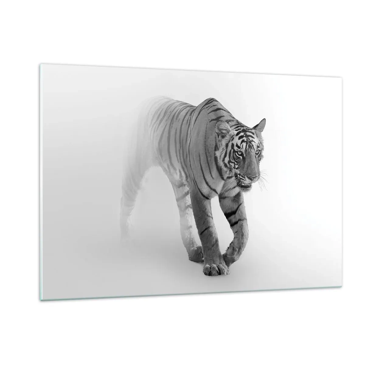 Impression sur verre - Image sur verre - Un tigre marchant dans la brume, avec un flou subtil en arrière-plan - 120x80cm - Accroupi dans le brouillard - Décoration murale moderne pour le salon et la chambre ARTTOR