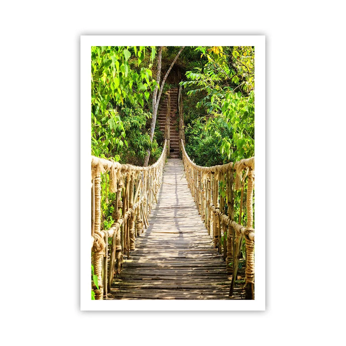 Affiche - Poster - Suspendu dans la nature - 61x91 cm