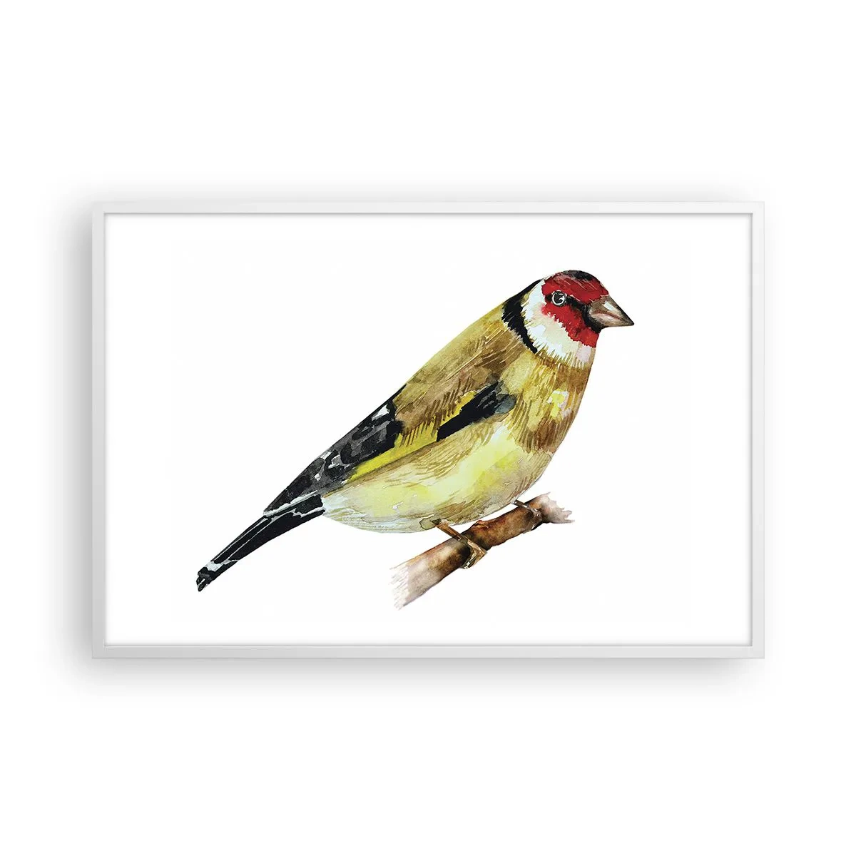 Affiche dans un cadre blanc - Poster - Portrait d'oiseau - 91x61 cm