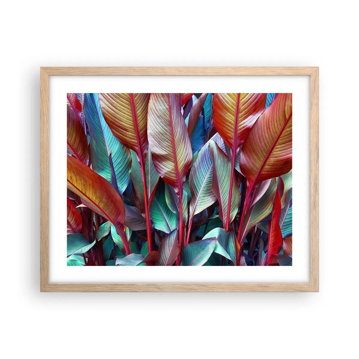 Affiche dans un chêne clair - Poster - Un fourré coloré - 50x40 cm