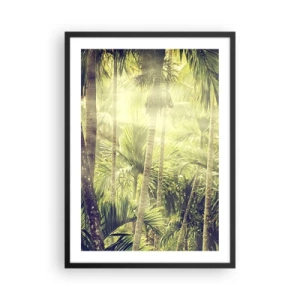 Affiche dans un cadre noir - Poster - Forêt tropicale avec des rayons de soleil en arrière-plan - 50x70cm - Nature enflammée - Décoration murale moderne pour le salon et la chambre ARTTOR