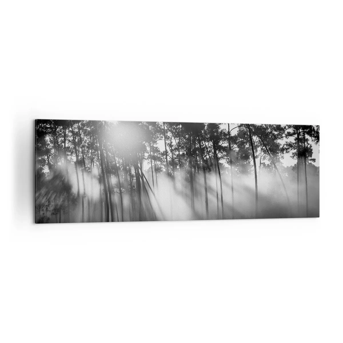 Impression sur toile - Image sur toile - Forêt noire et blanche dans le brouillard du matin - 160x50cm - Soleil inarrêtable - Décoration murale moderne pour le salon et la chambre ARTTOR