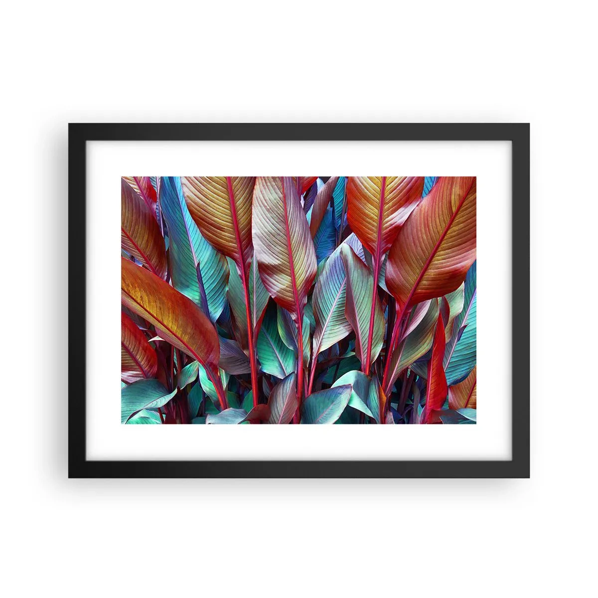 Affiche dans un cadre noir - Poster - Un fourré coloré - 40x30 cm