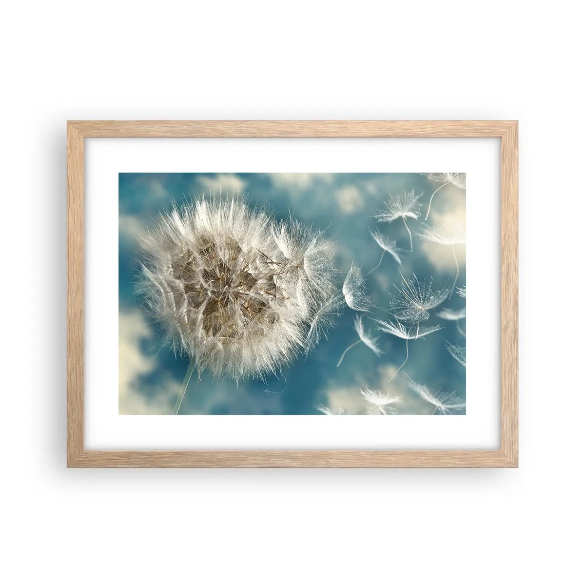 Affiche dans un chêne clair - Poster - souffle d'ange - 40x30 cm