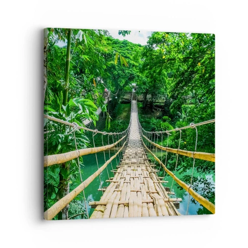 Impression sur toile - Image sur toile - Pont de singe en pleine nature - 30x30 cm