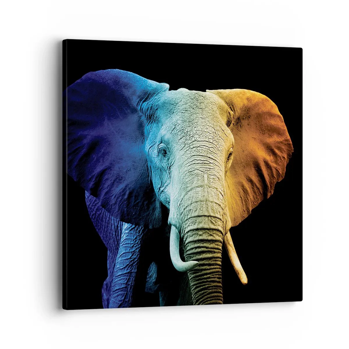 Impression sur toile - Image sur toile - Excentrique, pas bizarre - 40x40 cm