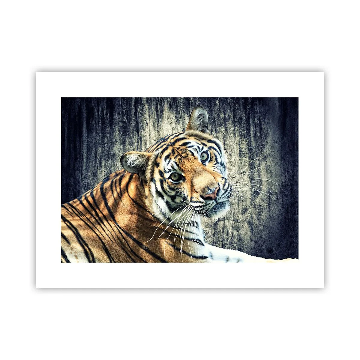 Affiche - Poster - Portrait dans les flots de lumière - 40x30 cm