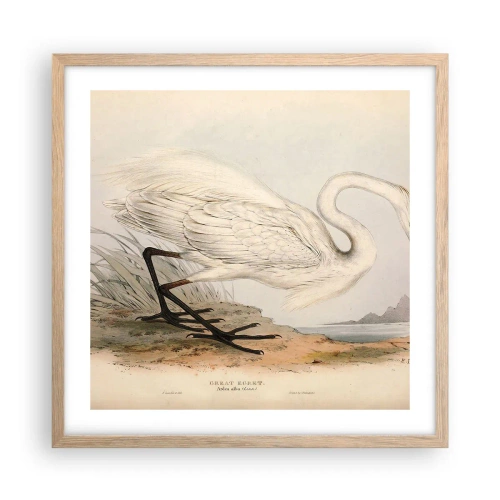 Affiche dans un chêne clair - Poster - Dame sur les joncs - 50x50 cm