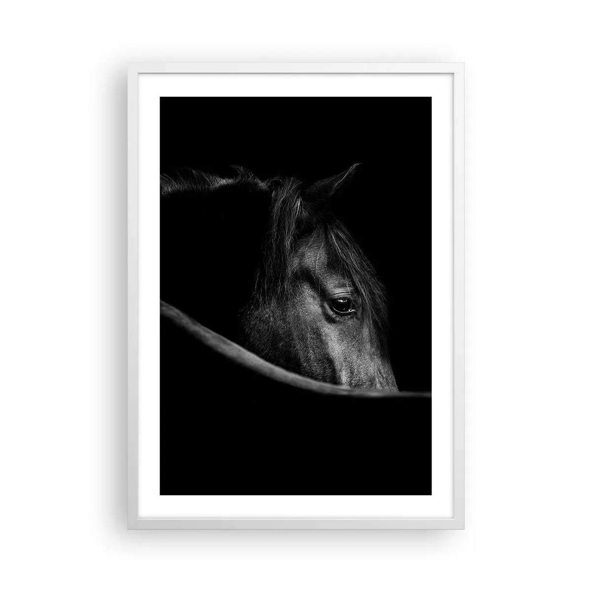 Affiche dans un cadre blanc - Poster - Prince Noir - 50x70 cm