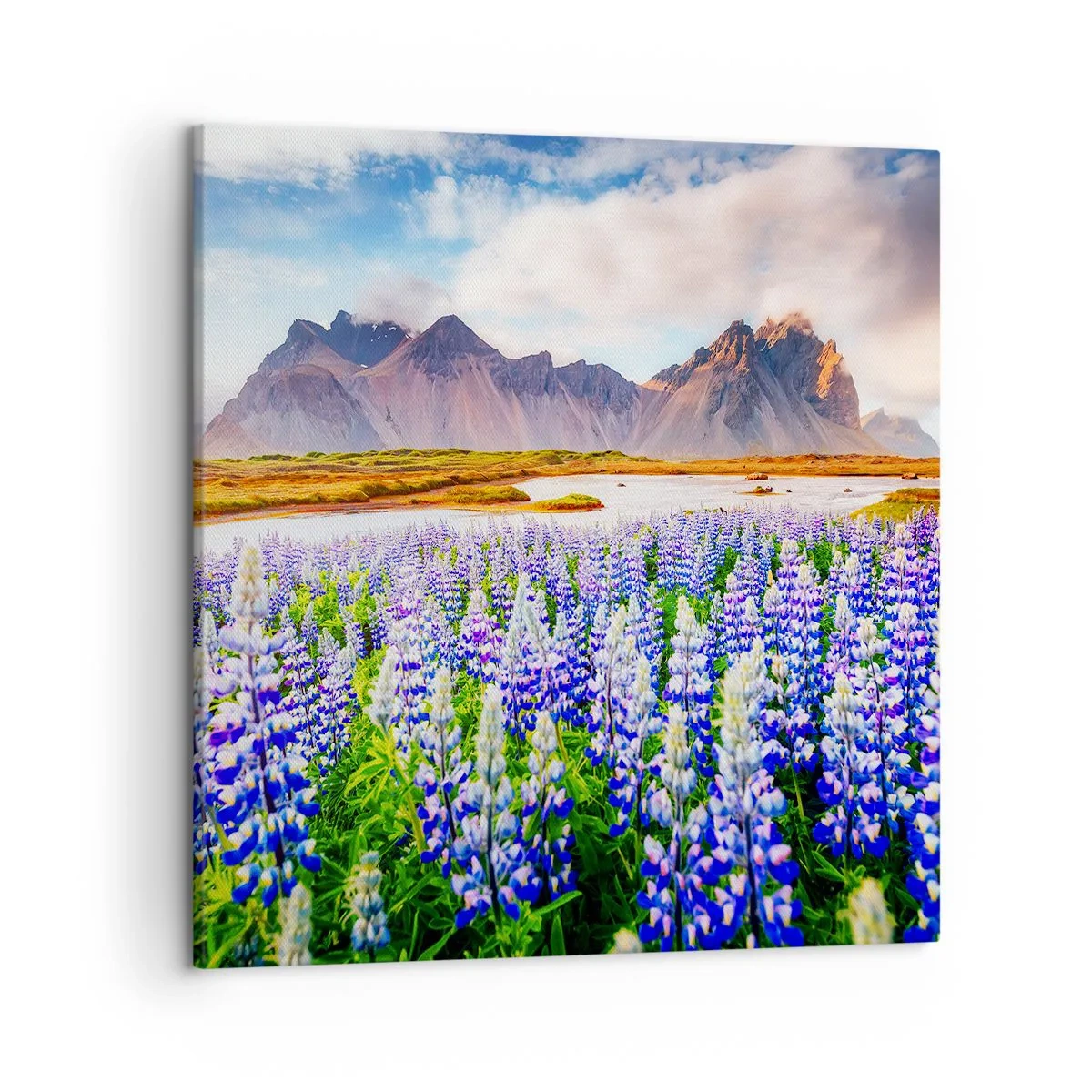 Impression sur toile - Image sur toile - La force et l'austérité côtoient la douceur - 50x50 cm