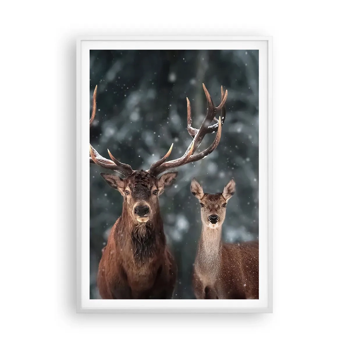 Affiche dans un cadre blanc - Poster - Le roi de la forêt avec sa femme - 70x100 cm