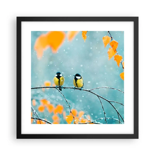 Affiche dans un cadre noir - Poster - Potins d'oiseaux - 40x40 cm