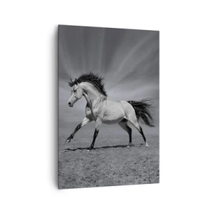 Impression sur toile - Image sur toile - Un cheval noir et blanc dans une pose dynamique dans le désert. - 70x100cm - Né pour séduire - Décoration murale moderne pour le salon et la chambre ARTTOR