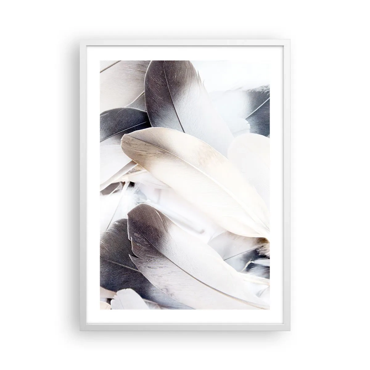 Affiche dans un cadre blanc - Poster - Presque angélique - 50x70 cm