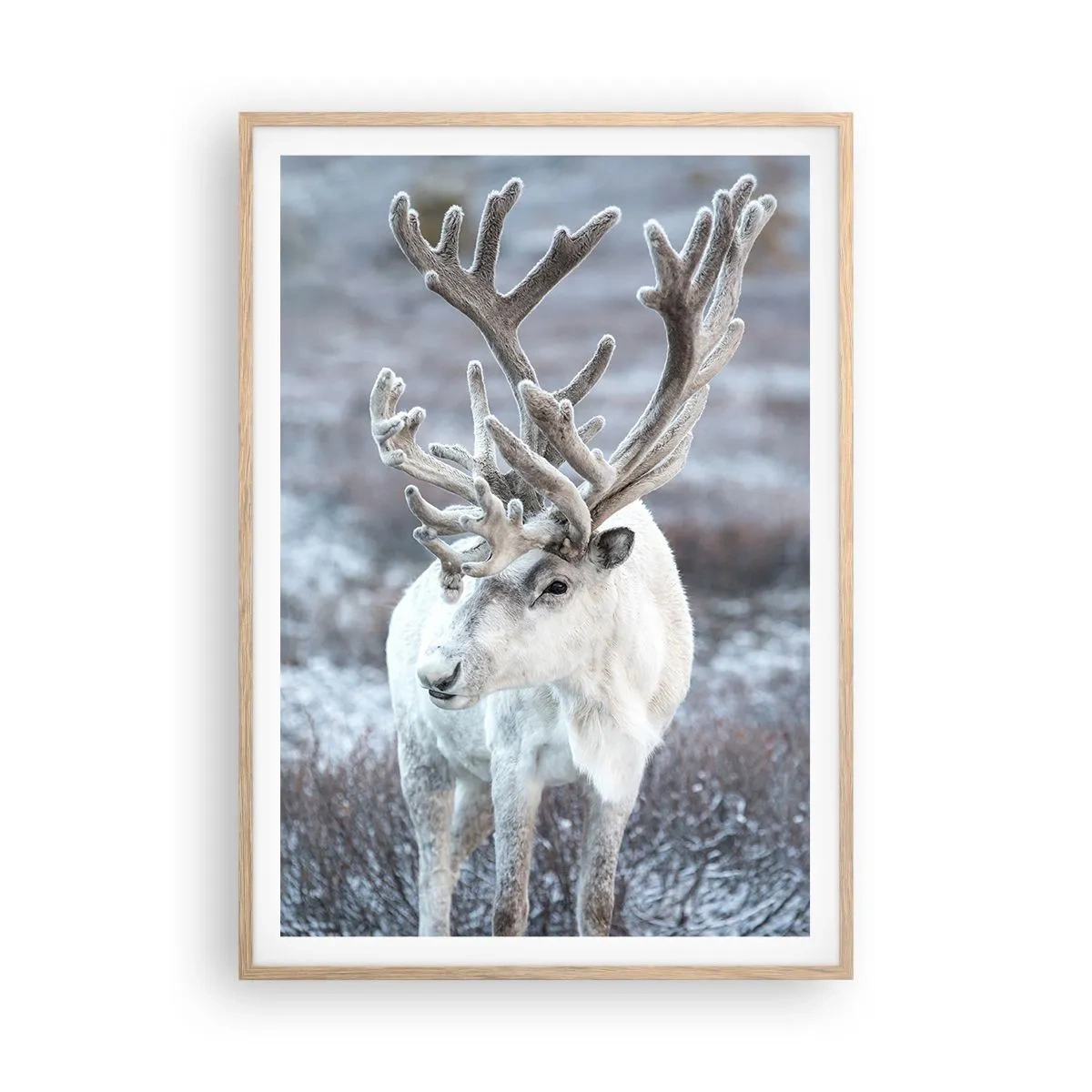 Affiche dans un chêne clair - Poster - Portrait au soleil - 70x100 cm