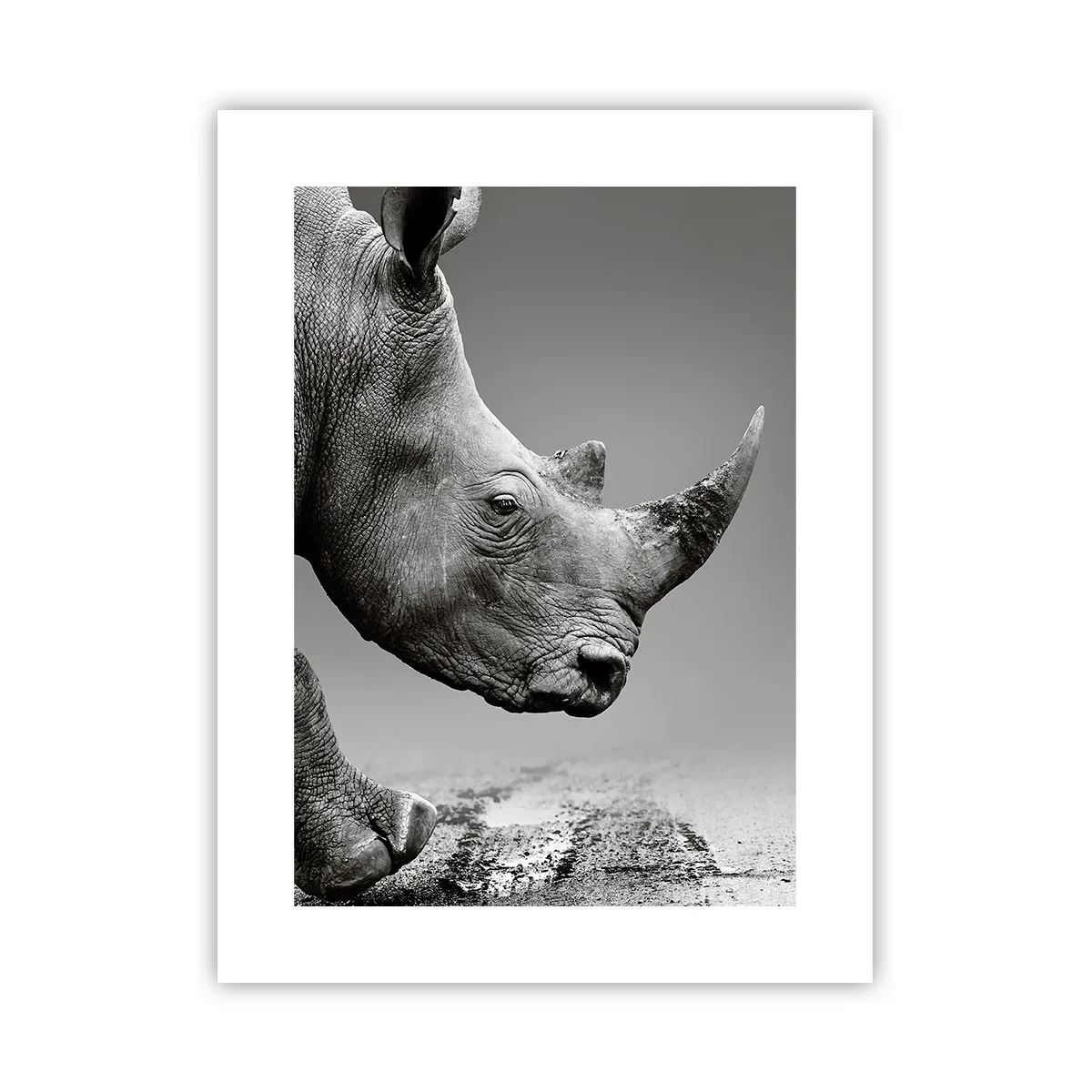 Affiche - Poster - Force inarrêtable - 30x40 cm