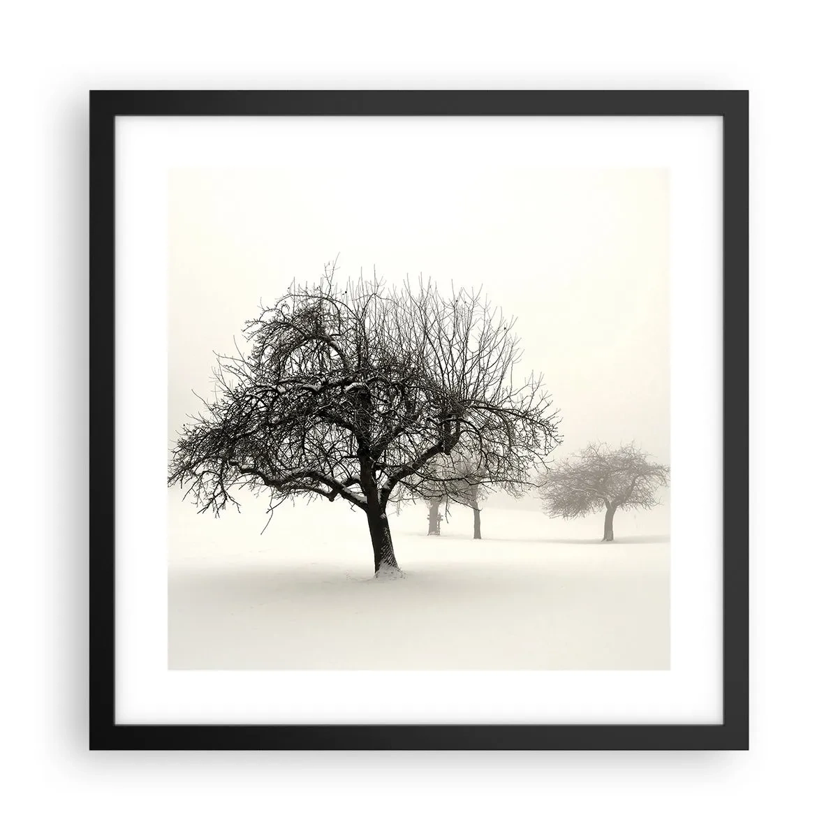 Affiche dans un cadre noir - Poster - Un rêve hivernal - 40x40 cm