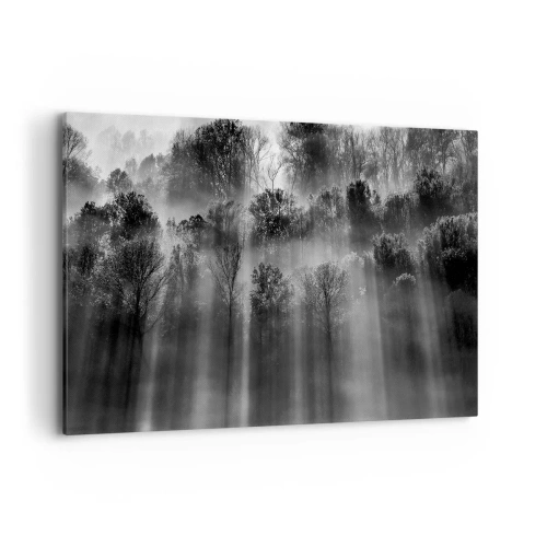Impression sur toile - Image sur toile - Forêt noire et blanche dans la lumière du matin - 100x70cm - Dans les flots de lumière - Décoration murale moderne pour le salon et la chambre ARTTOR