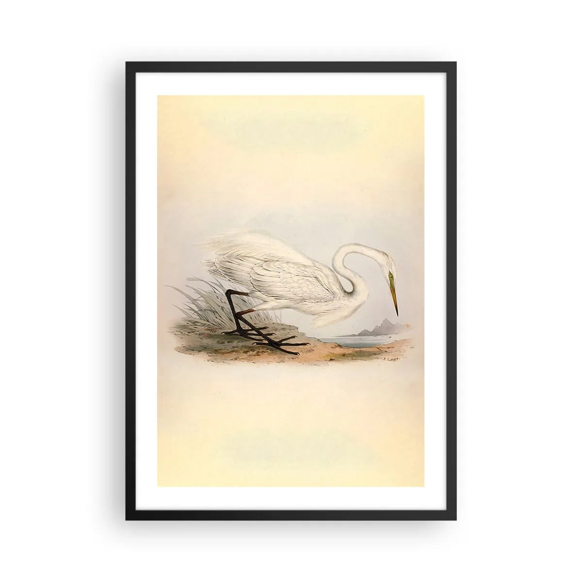 Affiche dans un cadre noir - Poster - Illustration d'un héron sur un fond de paysage pastel - 50x70cm - Dame sur les joncs - Décoration murale moderne pour le salon et la chambre ARTTOR