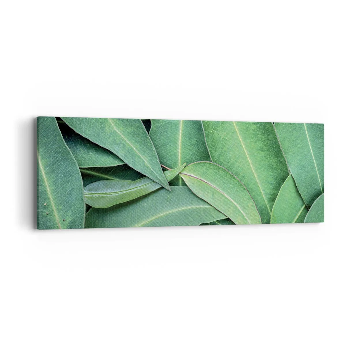 Impression sur toile - Image sur toile - Juteux et frais - 90x30 cm