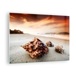 Impression sur verre - Image sur verre - Coquillages sur la plage au coucher du soleil - 70x50cm - Les parias des vagues - Décoration murale moderne pour le salon et la chambre ARTTOR
