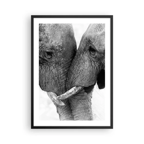 Affiche dans un cadre noir - Poster - Gros plan de deux éléphants en noir et blanc - 50x70cm - Confession sincère - Décoration murale moderne pour le salon et la chambre ARTTOR