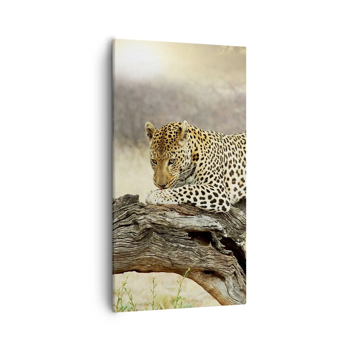 Impression sur toile - Image sur toile - Je suis ma propre route - 55x100 cm