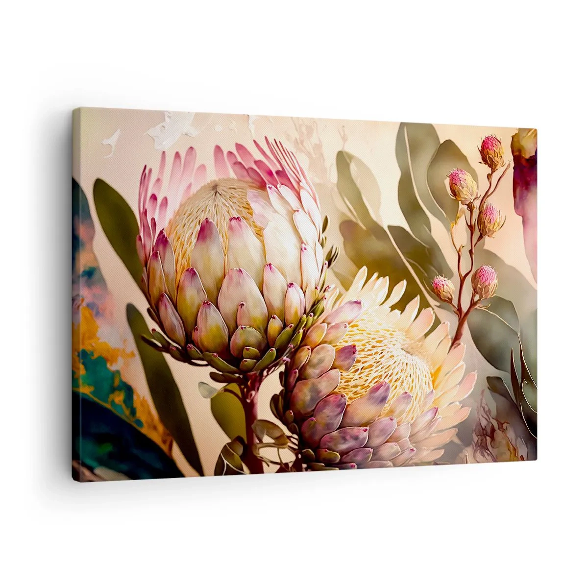 Impression sur toile - Image sur toile - Fleurs de protéa colorées sur un fond délicat - 70x50cm - Tendrement embrassé - Décoration murale moderne pour le salon et la chambre ARTTOR