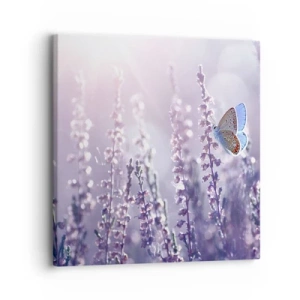 Impression sur toile - Image sur toile - Baiser de papillon - 30x30 cm
