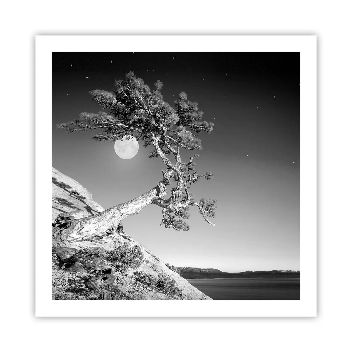 Affiche - Poster - Un combattant vainqueur - 60x60 cm