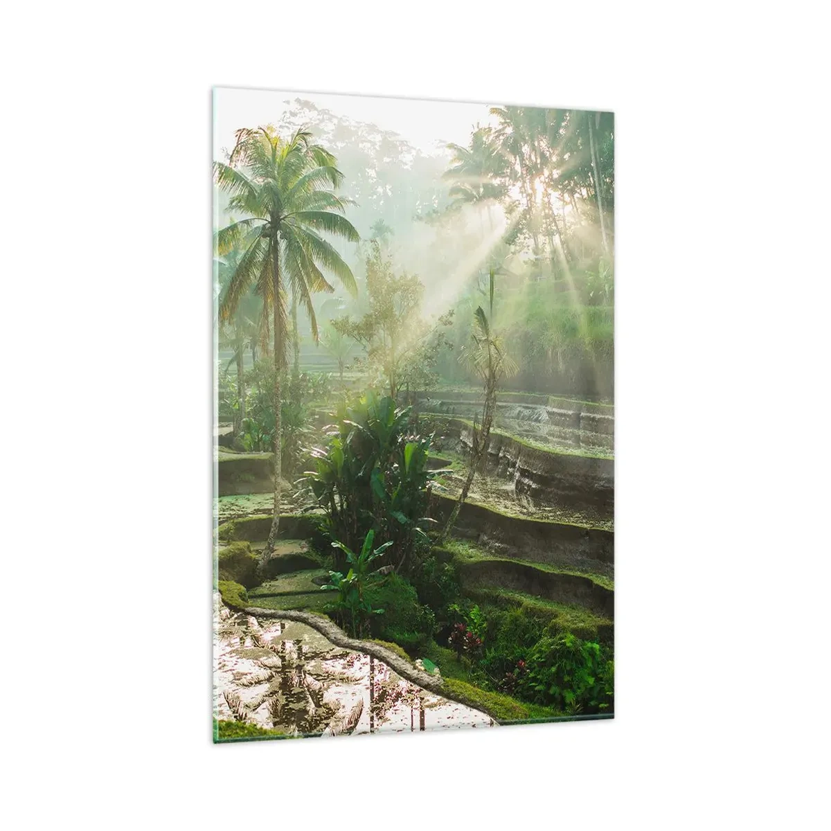 Impression sur verre - Image sur verre - Rizières en terrasses avec palmiers sous les rayons du soleil - 80x120cm - Grandir au soleil - Décoration murale moderne pour le salon et la chambre ARTTOR