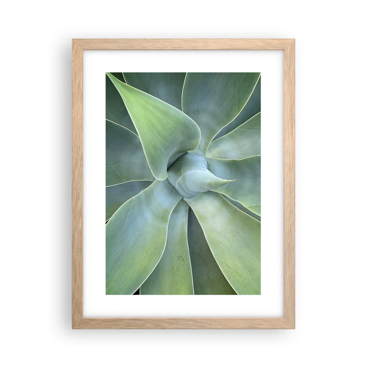 Affiche dans un chêne clair - Poster - La naissance de la verdure - 30x40 cm