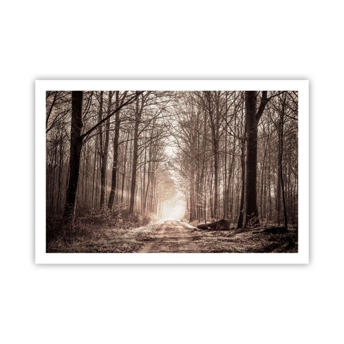 Affiche - Poster - Cathédrale de la forêt - 91x61 cm