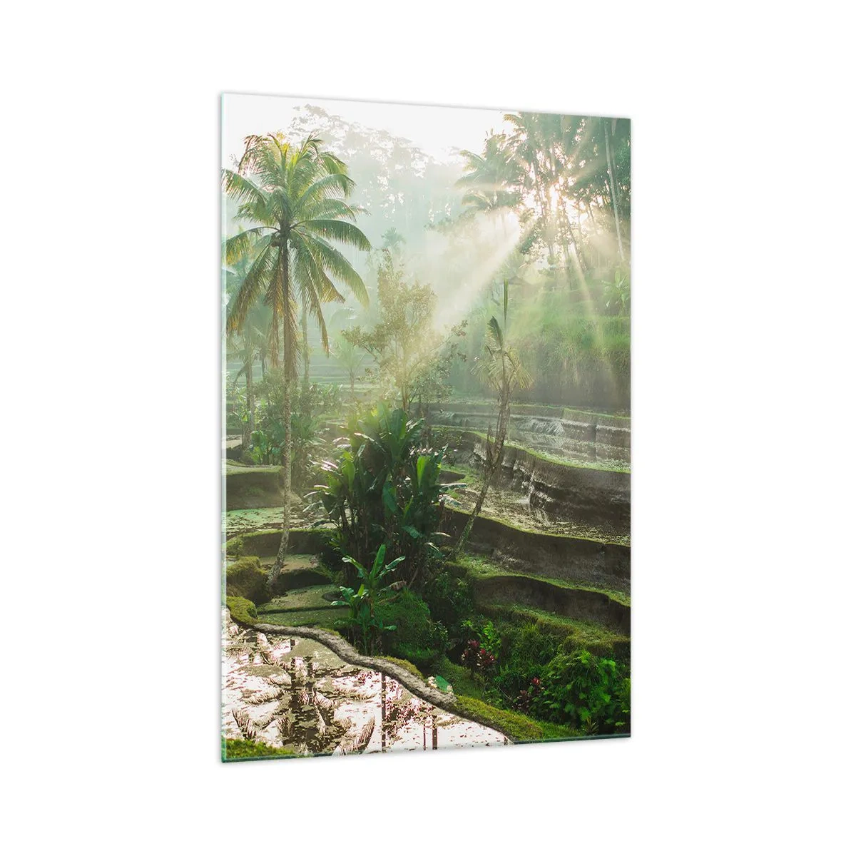 Impression sur verre - Image sur verre - Rizières en terrasses avec palmiers sous les rayons du soleil - 70x100cm - Grandir au soleil - Décoration murale moderne pour le salon et la chambre ARTTOR