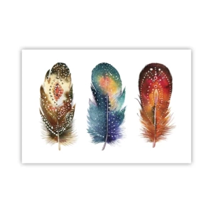 Affiche - Poster - Rituels, cérémonies, secrets - 91x61 cm