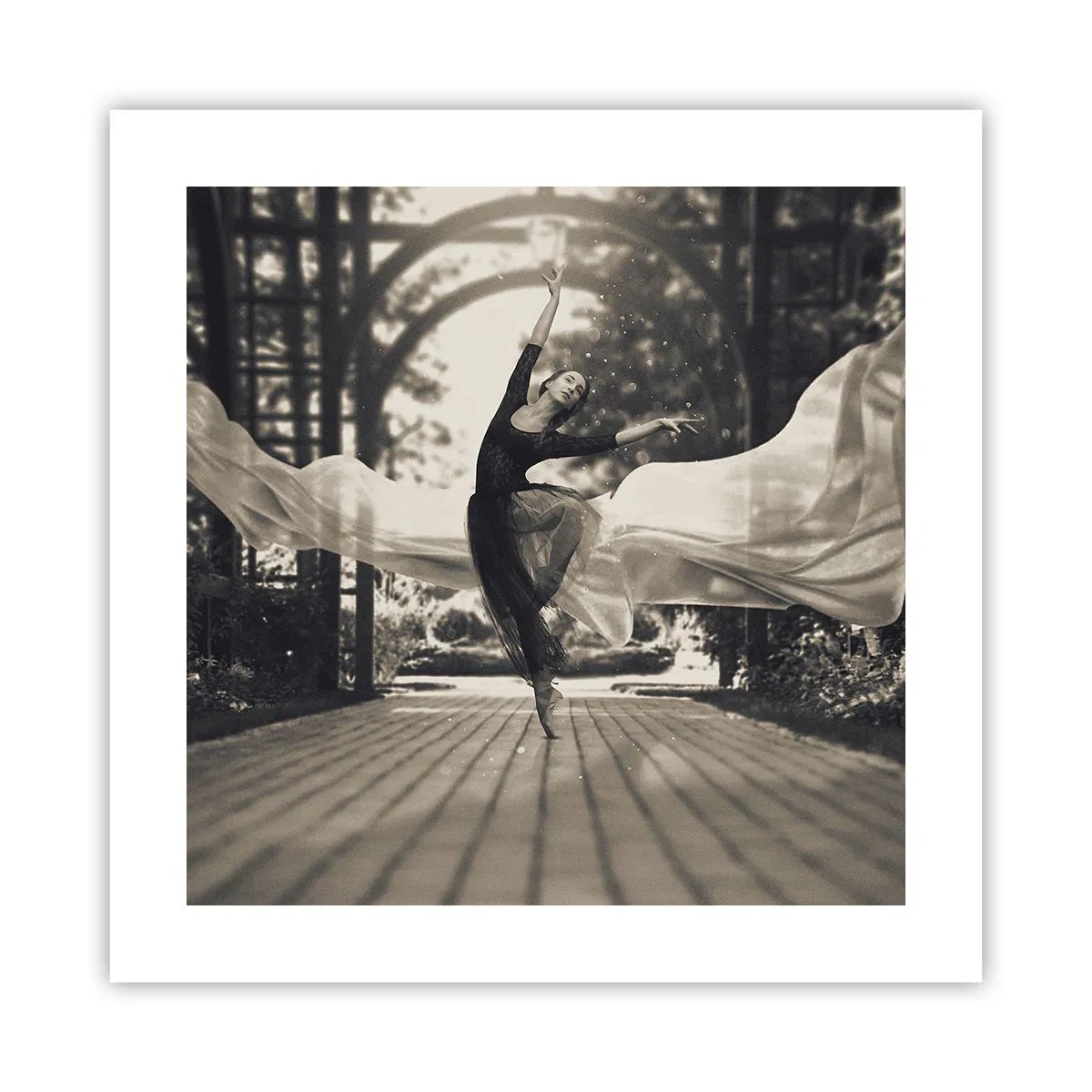 Affiche - Poster - La danse de l'esprit jardin - 40x40 cm