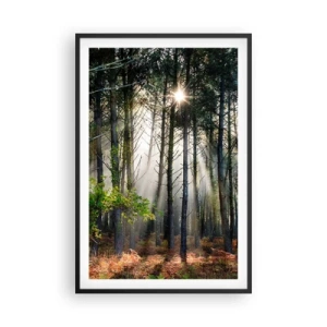 Affiche dans un cadre noir - Poster - Une zone forestière - 61x91 cm