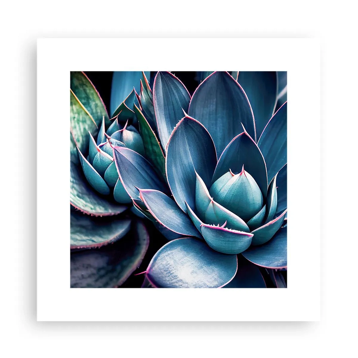 Affiche - Poster - Force vital - 30x30 cm