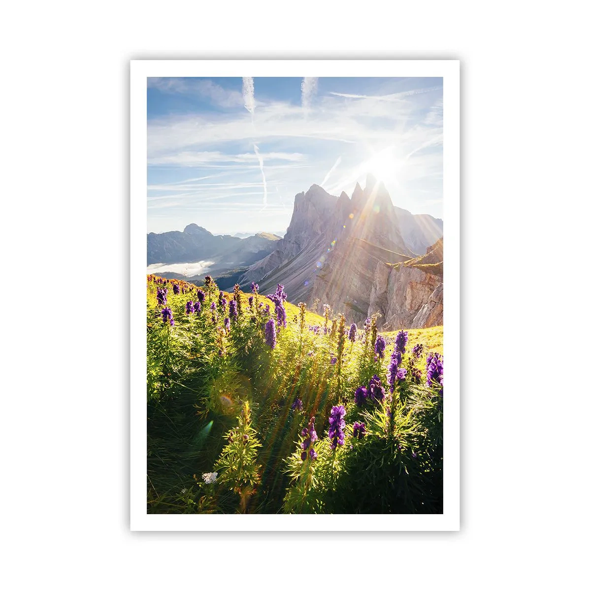 Affiche - Poster - La vie secrète des herbes - 70x100 cm