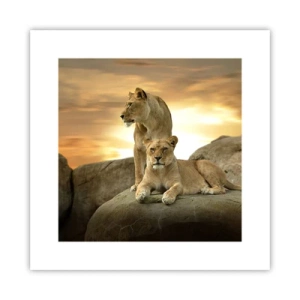 Affiche - Poster - Majesté royale - 30x30 cm