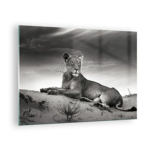 Impression sur verre - Image sur verre - Laissé gisant dans le désert dans un cadre noir et blanc - 70x50cm - La reine du désert reste - Décoration murale moderne pour le salon et la chambre ARTTOR