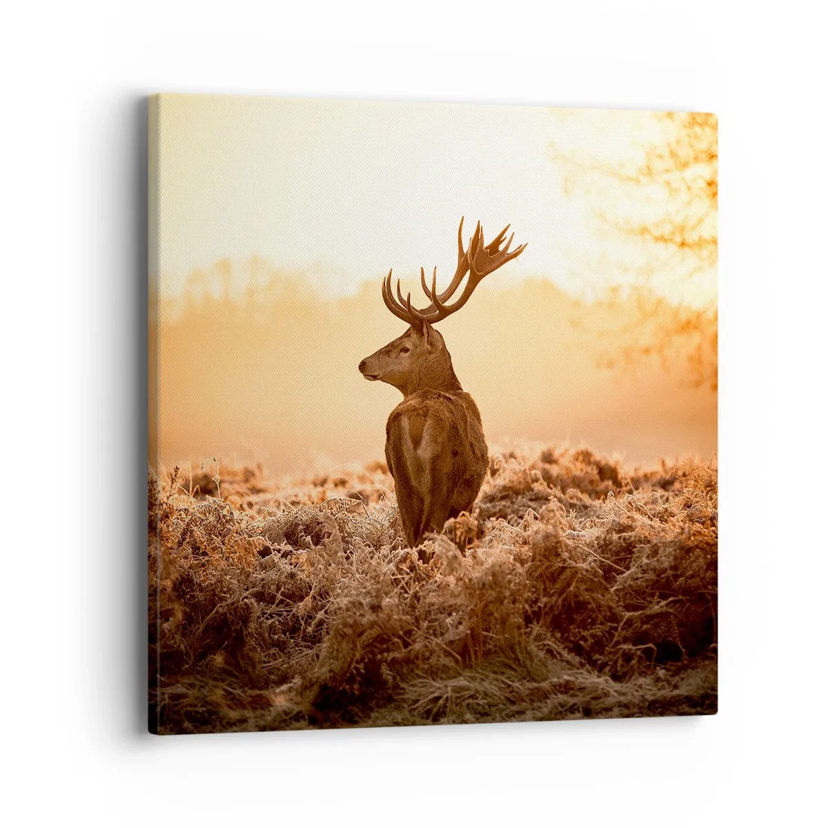 Impression sur toile - Image sur toile - Seigneur du domaine - 40x40 cm