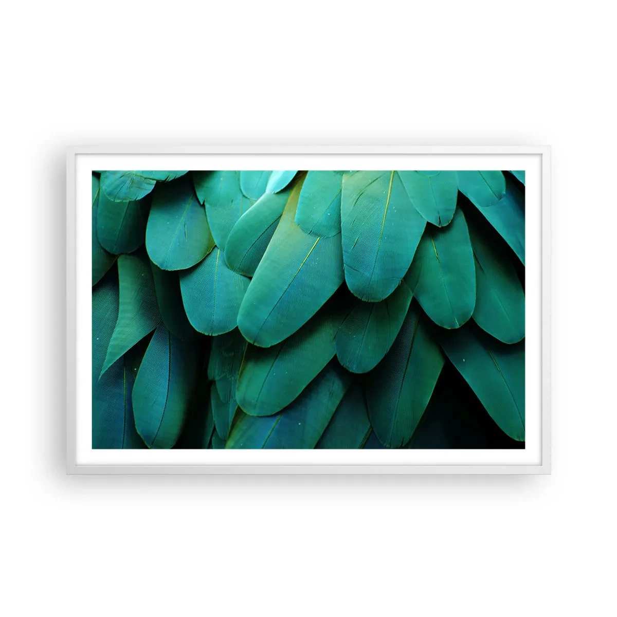 Affiche dans un cadre blanc - Poster - Perfection de la nature du perroquet - 91x61 cm