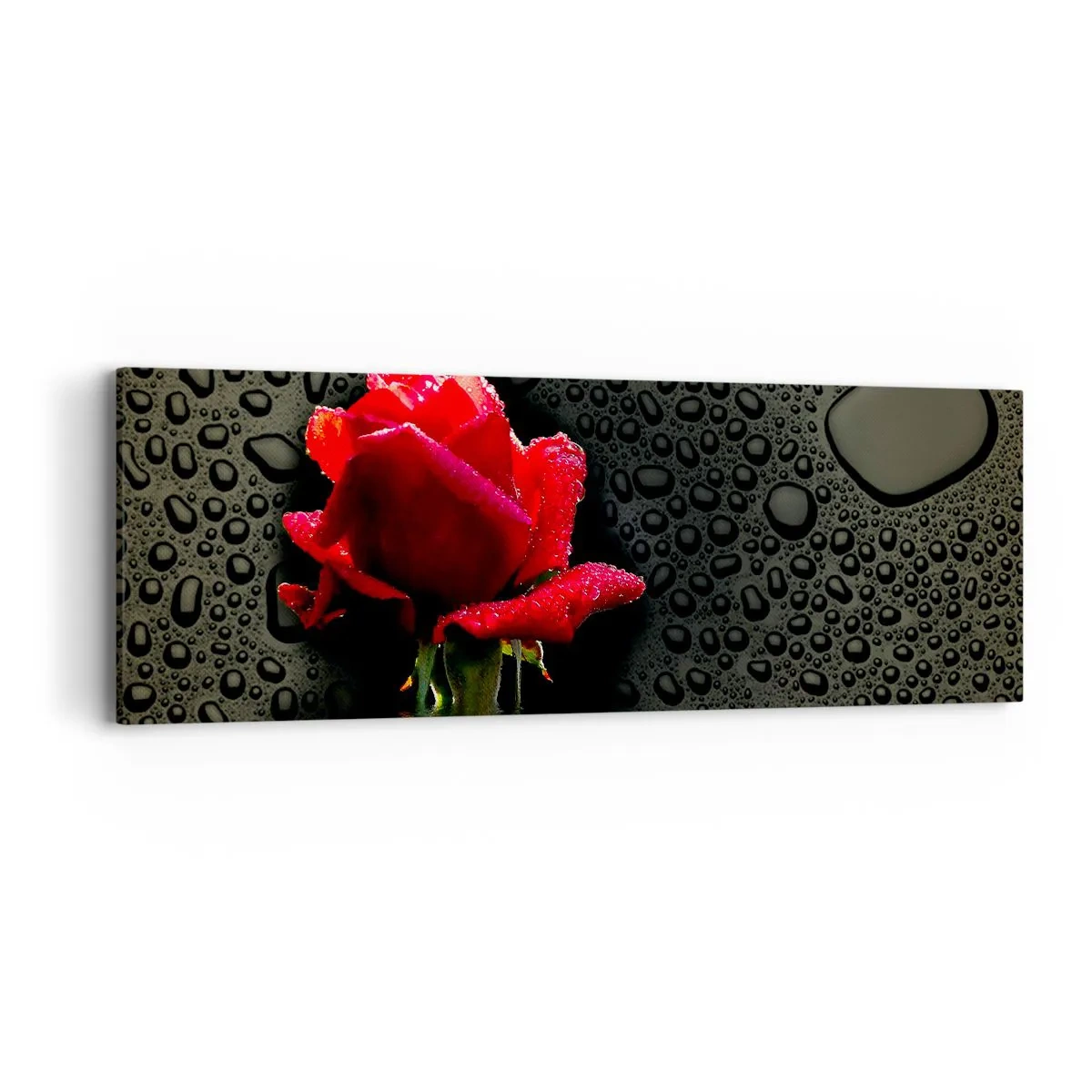 Impression sur toile - Image sur toile - Rouge et noir - 90x30 cm