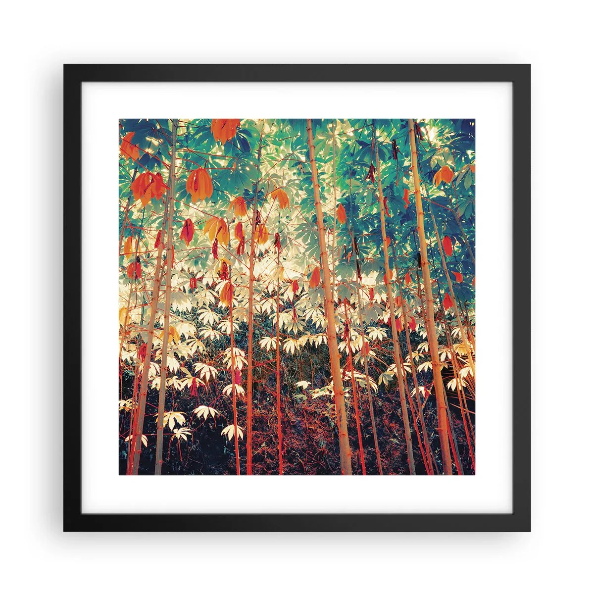 Affiche dans un cadre noir - Poster - La vie secrète des feuilles - 40x40 cm