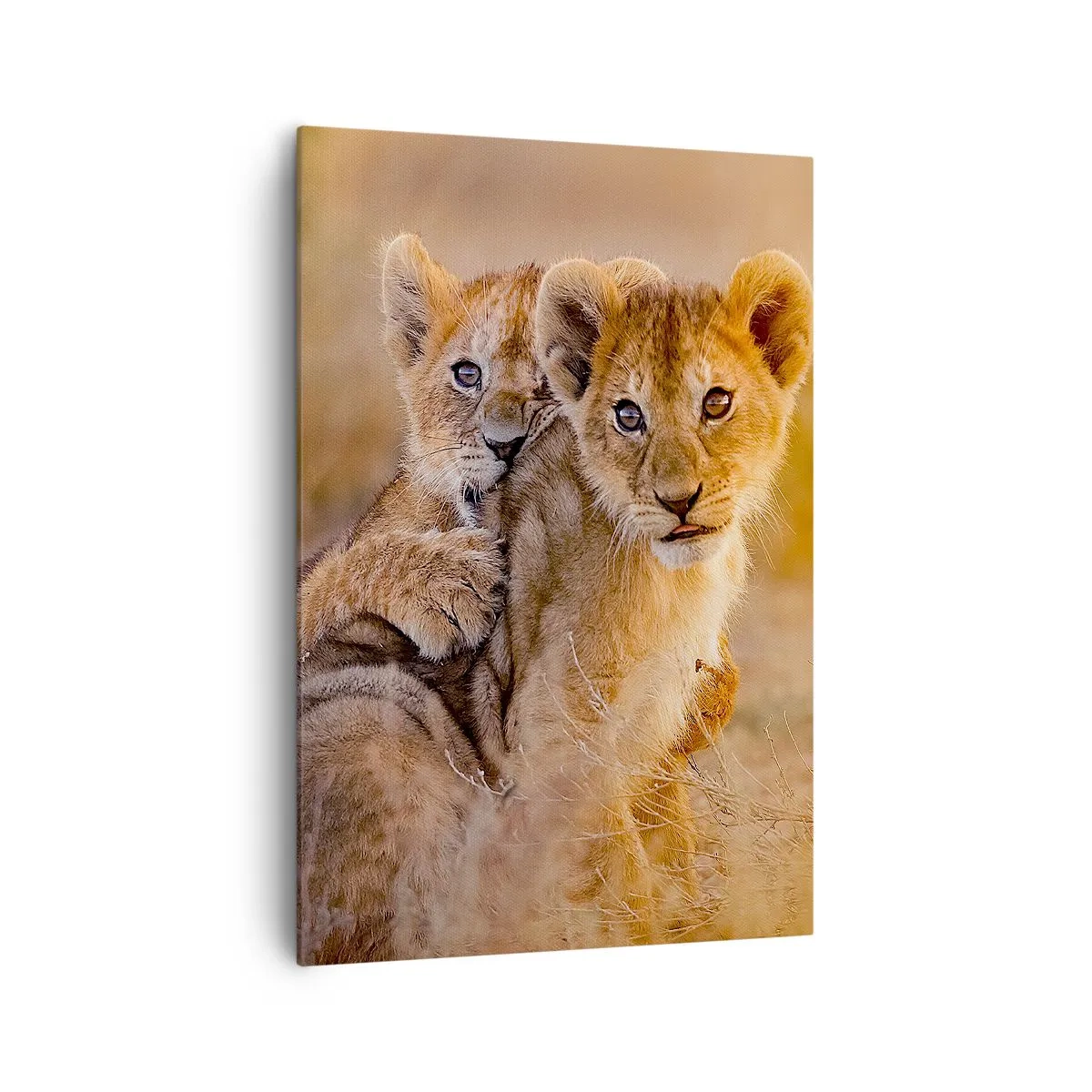 Impression sur toile - Image sur toile - Adorables lionceaux dans leur environnement naturel - 70x100cm - Ne pas déranger! On s'amuse - Décoration murale moderne pour le salon et la chambre ARTTOR