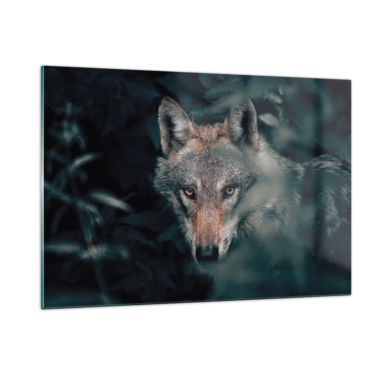 Impression sur verre - Image sur verre - Un loup observant avec vigilance depuis sa cachette dans le fourré de la forêt - 120x80cm - Chasseur - Décoration murale moderne pour le salon et la chambre ARTTOR