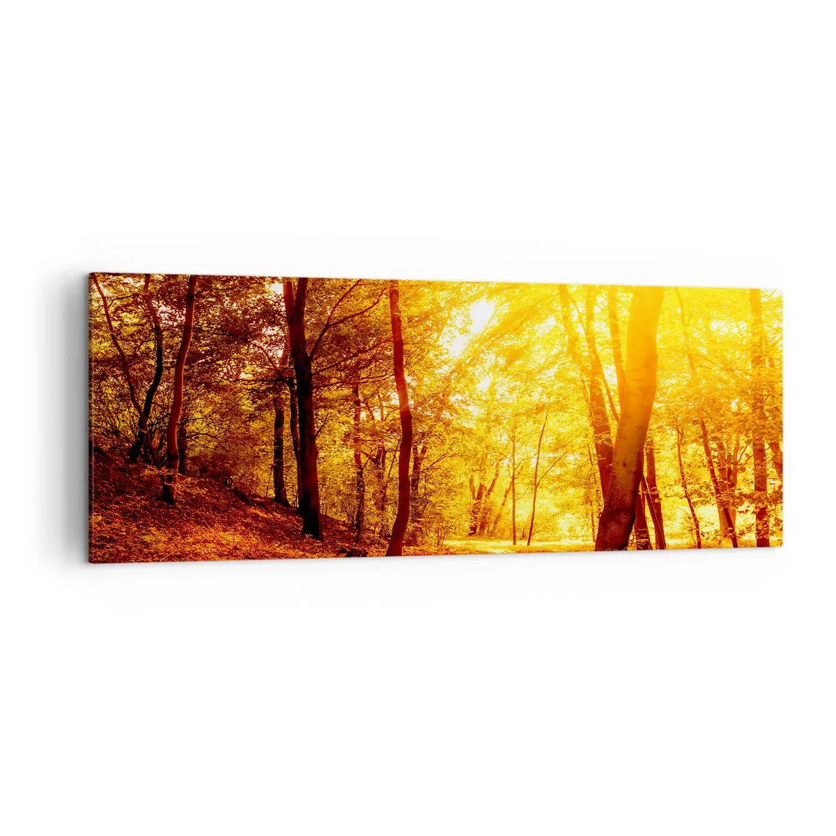 Impression sur toile - Image sur toile - Clairière d'automne sous le soleil doré avec un sentier forestier - 140x50cm - Vers la clairière dorée - Décoration murale moderne pour le salon et la chambre ARTTOR