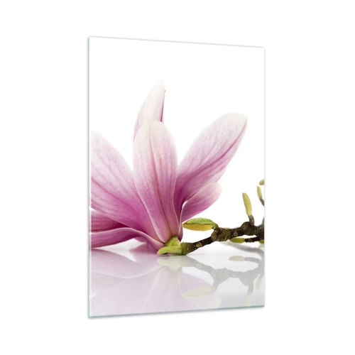 Impression sur verre - Image sur verre - Fleurs de magnolia délicates sur fond blanc - 50x70cm - Délicat comme une brise de printemps - Décoration murale moderne pour le salon et la chambre ARTTOR
